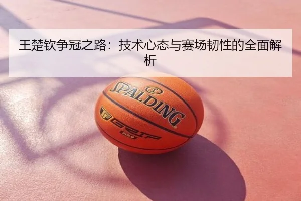 王楚钦争冠之路：技术心态与赛场韧性的全面解析
